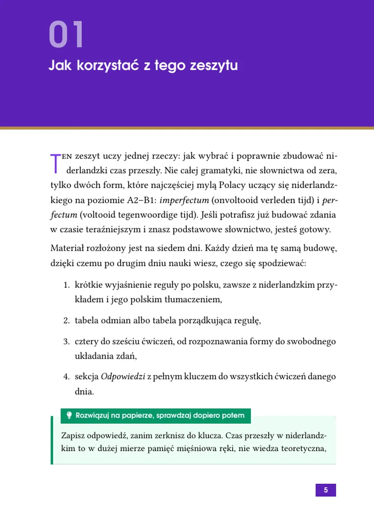 Imperfectum i perfectum w 7 dni: zeszyt ćwiczeń z niderlandzkiego dla Polaków (strona 7)