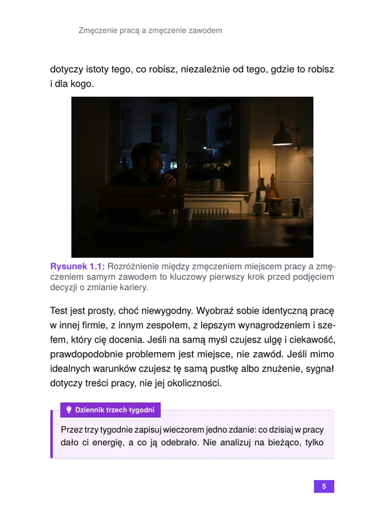 Zmiana zawodu po 40: przewodnik przebranżowienia (strona 7)